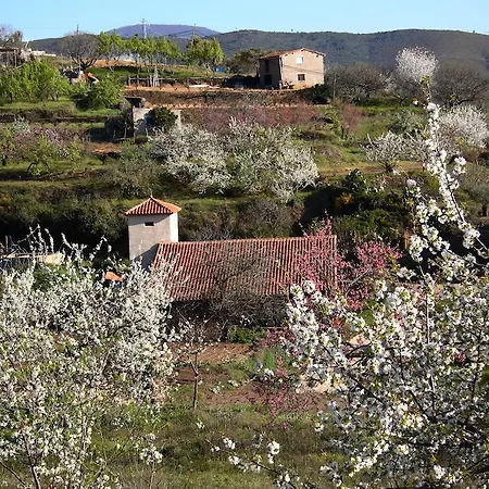 La Del Casar 4* Casar de Palomero