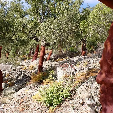 La Del Casar 4* Касар-де-Паломеро