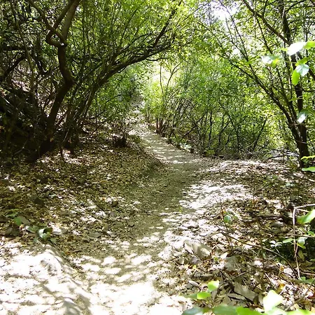 La Del Casar Casar de Palomero