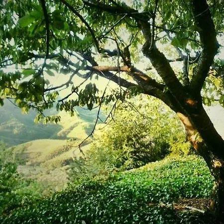 La Del Casar Casar de Palomero