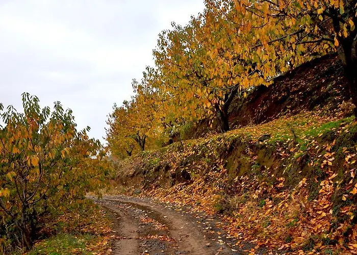 Hotel La Del Casar Casar de Palomero