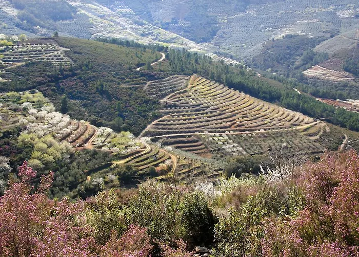 La Del Casar Hotel 4*