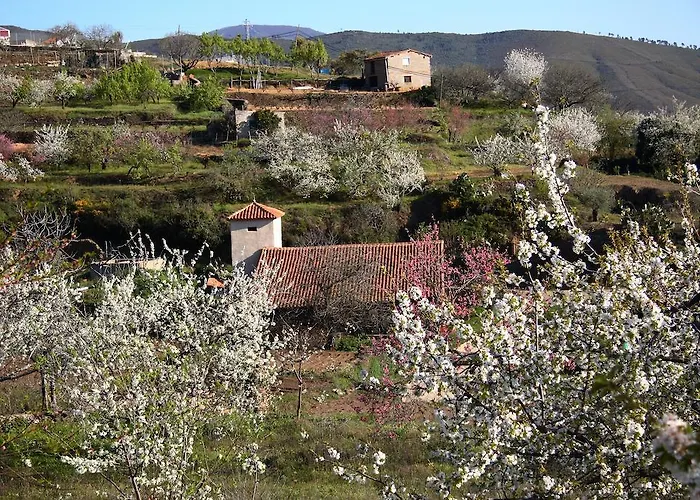 La Del Casar 4* Casar de Palomero