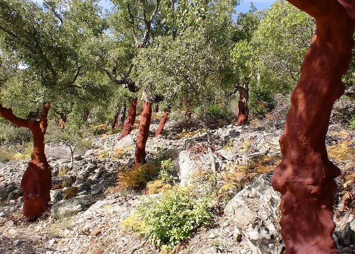 La Del Casar 4* Casar de Palomero