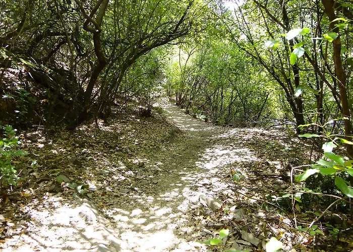 La Del Casar Casar de Palomero