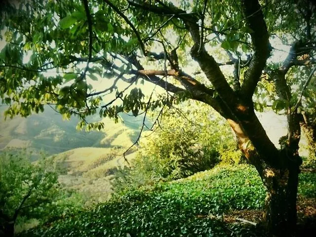 La Del Casar Casar de Palomero